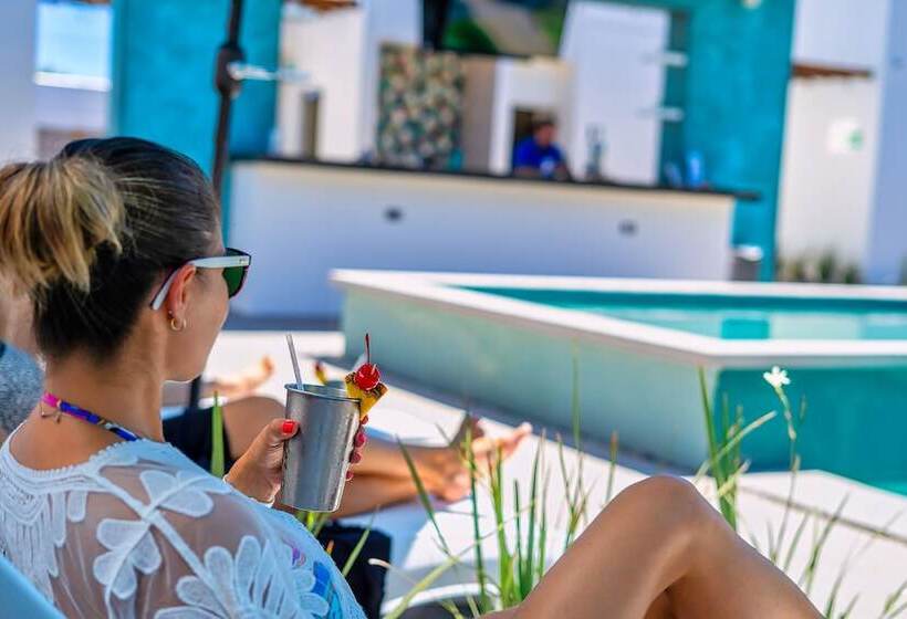 The Cove Boutique Hotel Adults Only