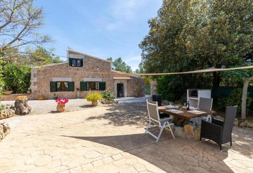 Alcudia   38363 Mallorca