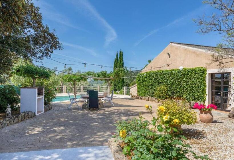 Alcudia   38363 Mallorca