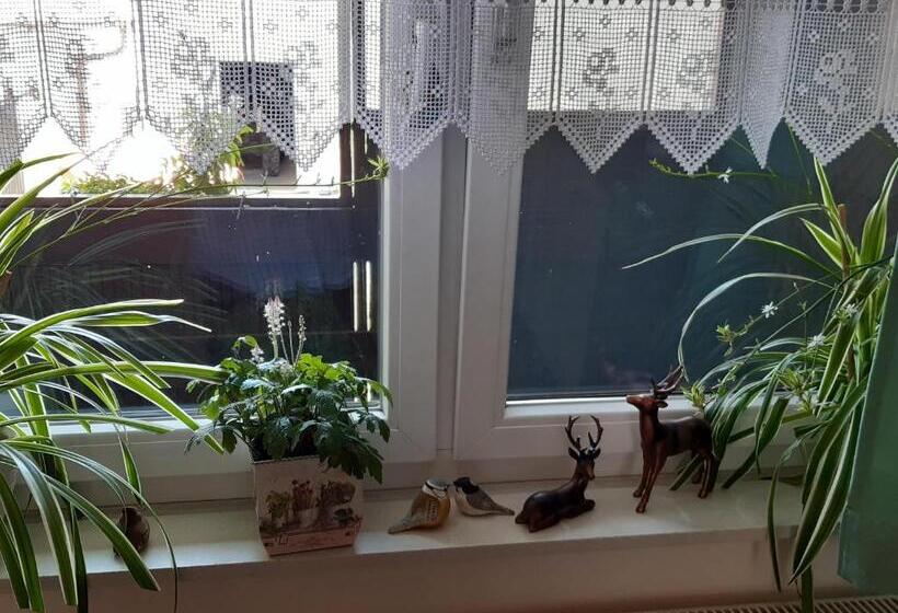 Appartement Ferienwohnung Lang