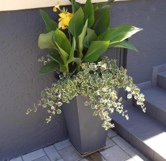 Appartement Ferienwohnung Lang