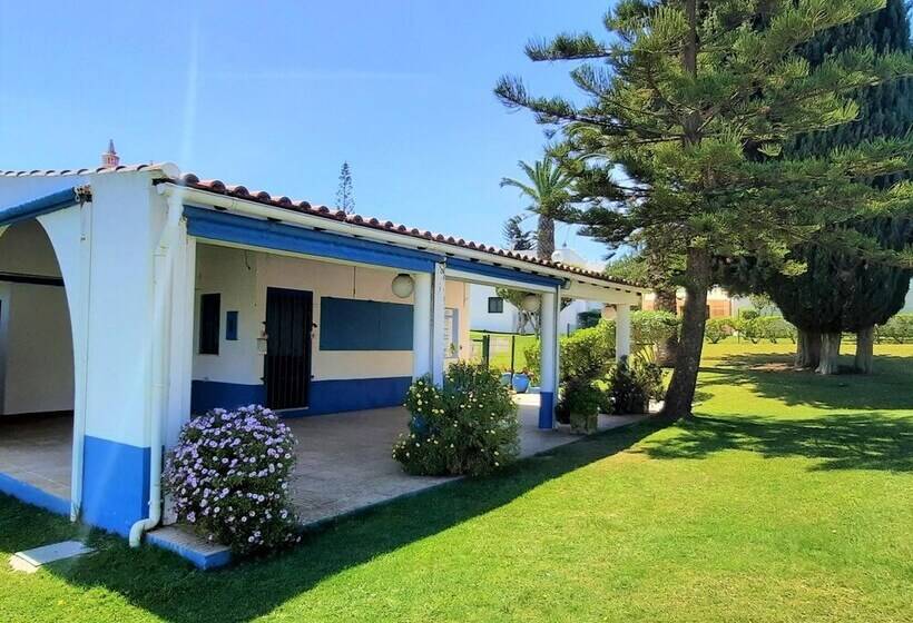 Armação De Pêra Brightness 2 With Pool By Homing