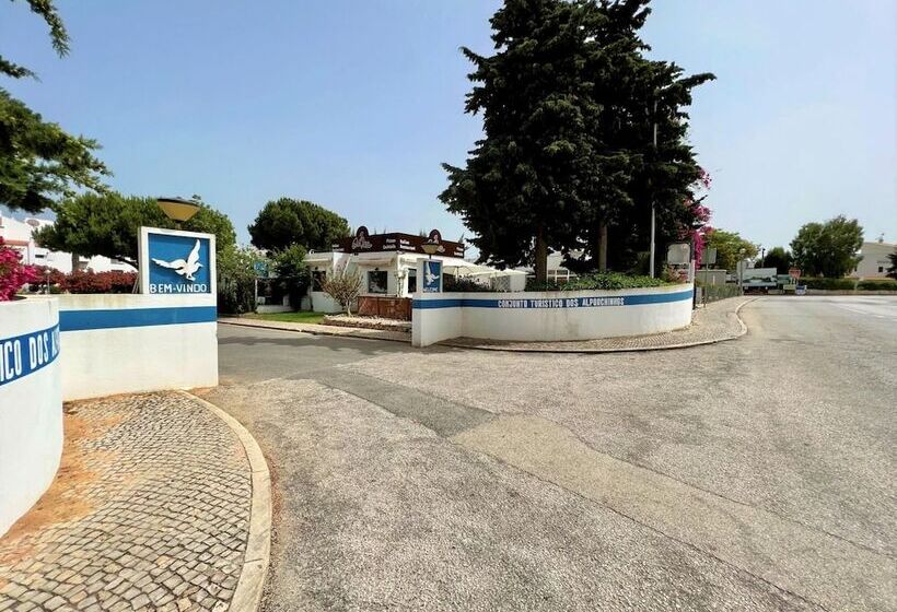 Armação De Pêra Brightness 2 With Pool By Homing