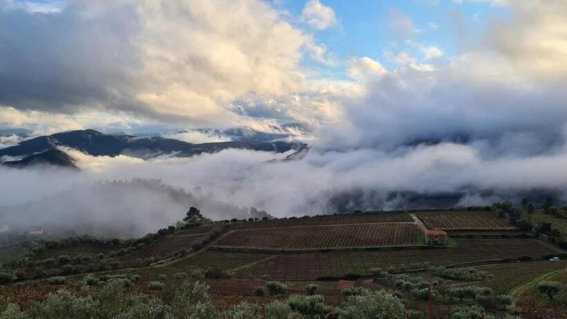 Casa De Pena D águia   Douro Encantado