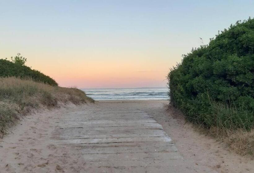 Charmant Studio Neuf à 150m De La Mer