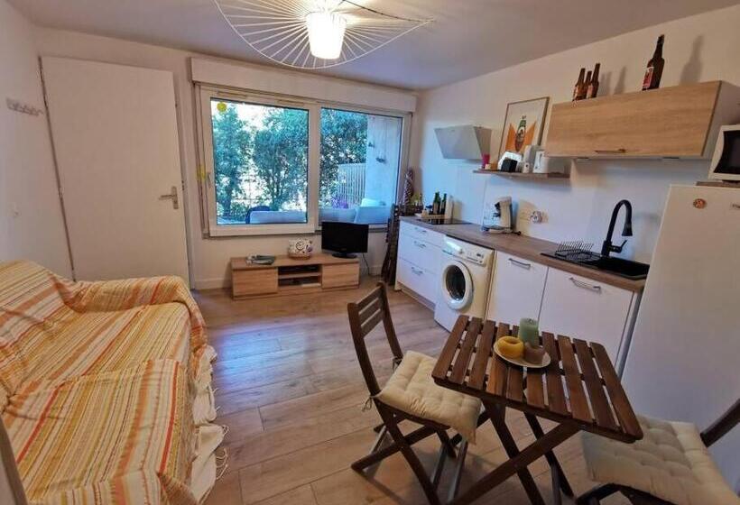 Charmant Studio Neuf à 150m De La Mer