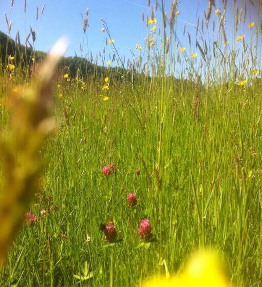 Charming Cottage Within Farmhouse