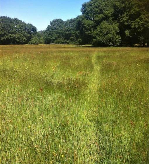 Charming Cottage Within Farmhouse