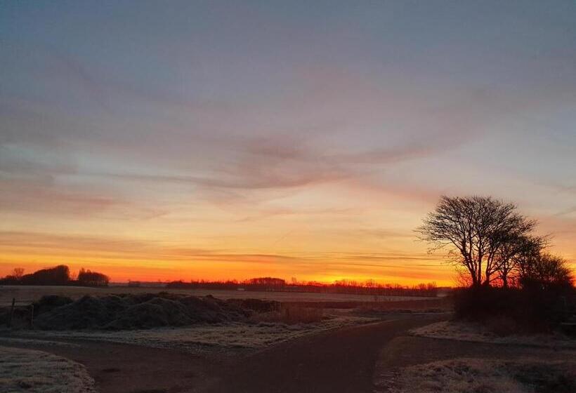 Het Huisje Comfortabel, Luxe & Sfeervol Nabij Het Strand