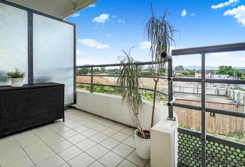 Homey Genius   à 100 M De La Douane/terrasse Privée