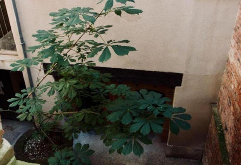 L Escale Des Libellules