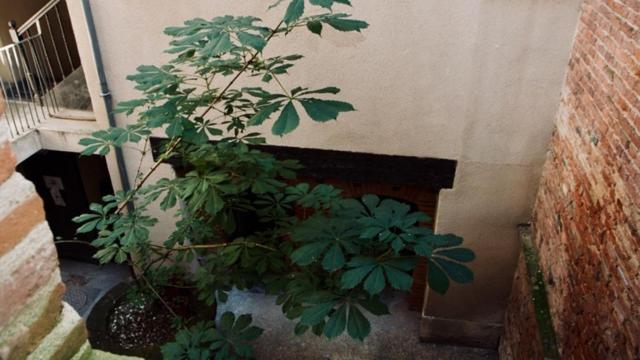 L Escale Des Libellules