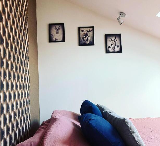 Le Carrosse, La Diligence, Centre Saint Jean De Losne Tarif 2pers 1 Chambre, Tarif 4 Pers 2 Chambres