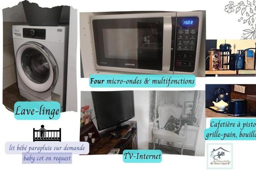 Les Salamandres De Beauregard