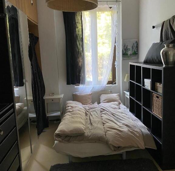 Modern House In Central With Pool