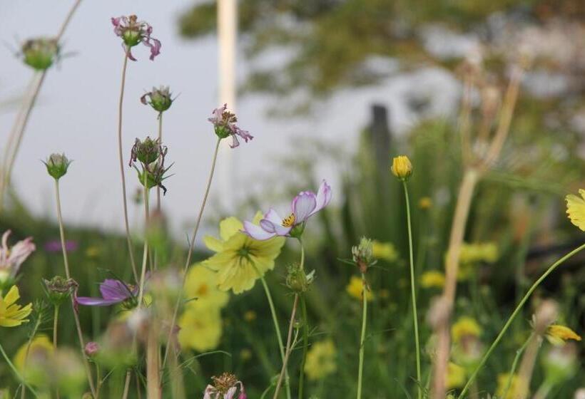 ペンション เฮือนกว่าง