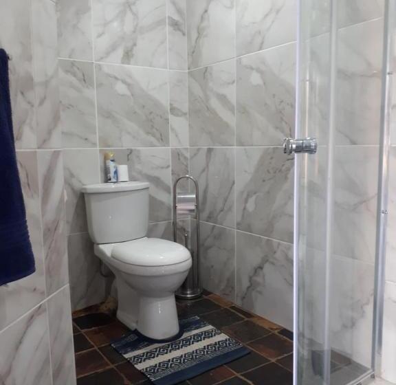 Пансион 13th Avenue Guesthouse Benoni