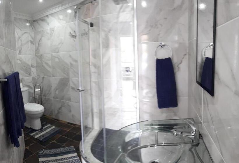 Пансион 13th Avenue Guesthouse Benoni