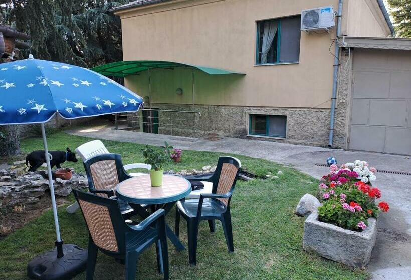 Pension (Hôtel basse catégorie) къща за гости  хт