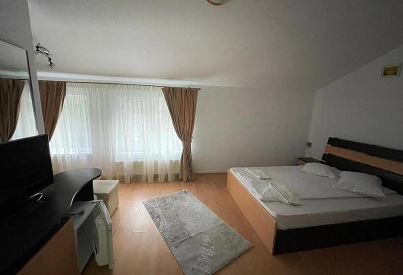 Pensiunea Izvoare Olanesti 3