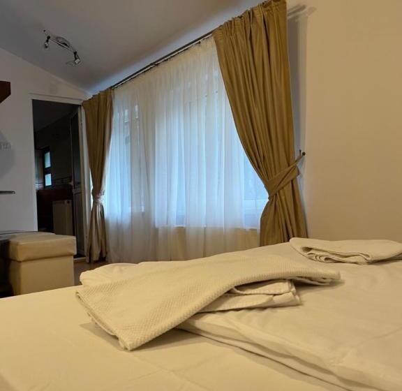 Pensiunea Izvoare Olanesti 3