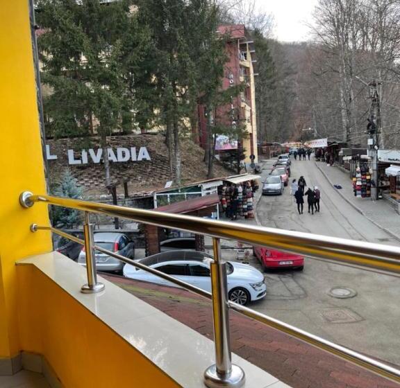 Pensiunea Izvoare Olanesti 3