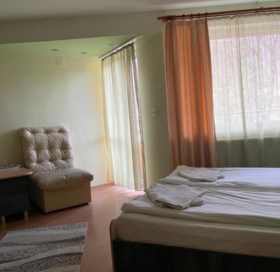 Pensiunea Izvoare Olanesti 3