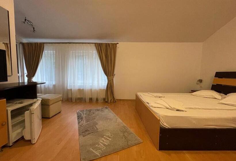 Pensiunea Izvoare Olanesti 3