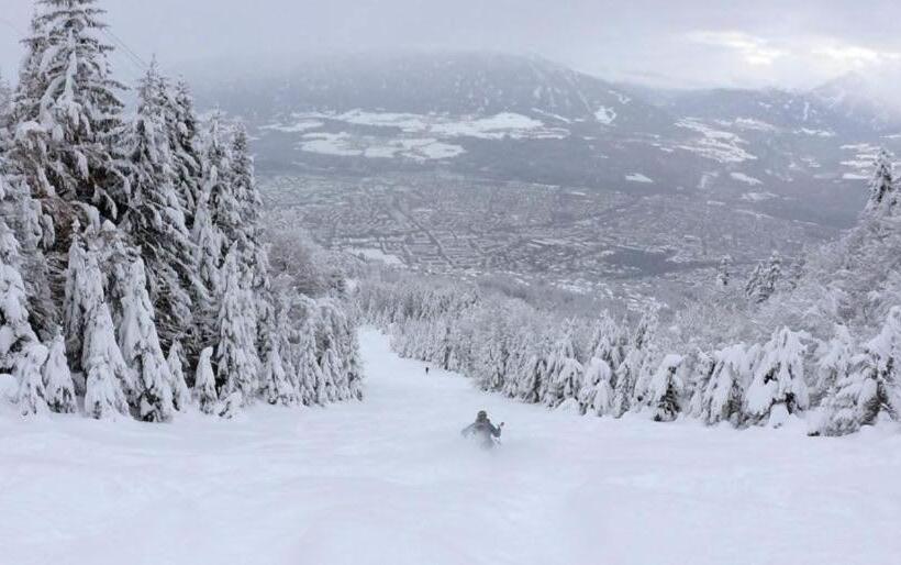 Super Central City Appartement With Free Parking