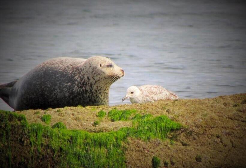 The Wee Blue House, East Neuk