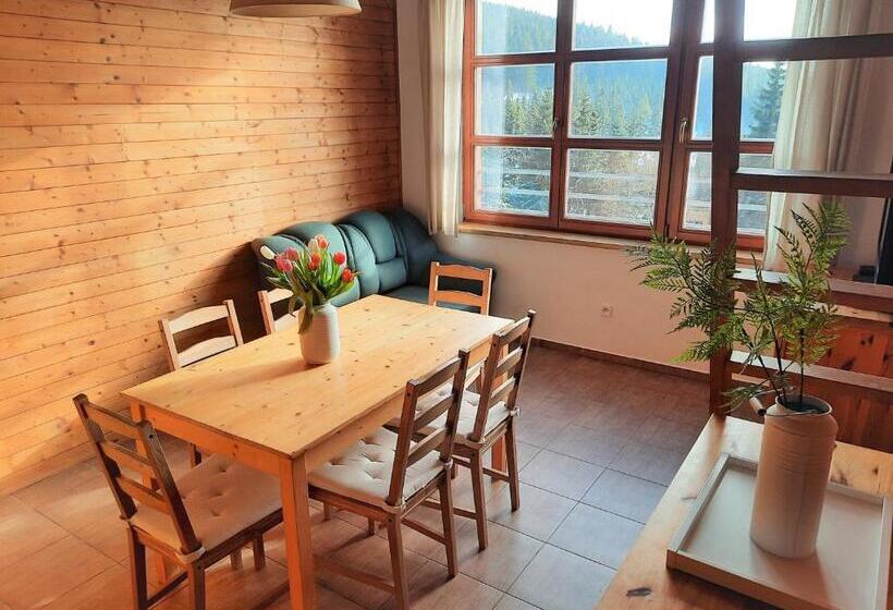 Velký Apartmán Cihlarka