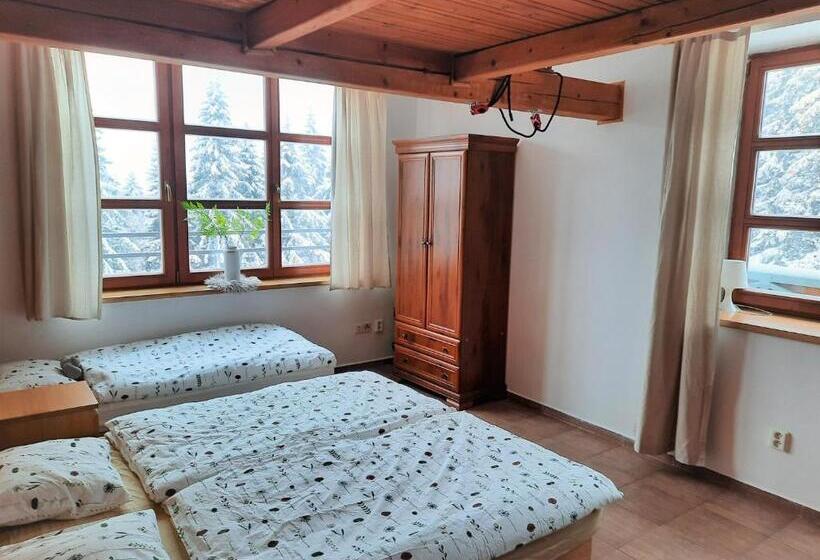 Velký Apartmán Cihlarka