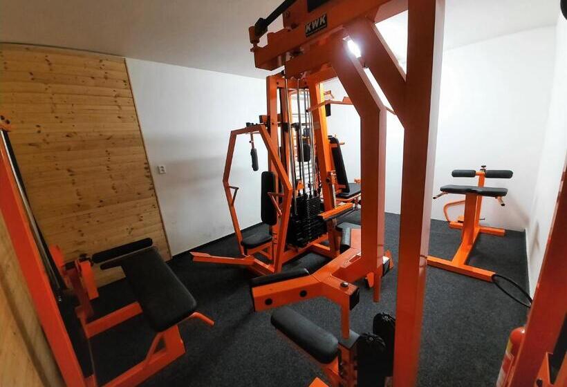 Velký Apartmán Cihlarka