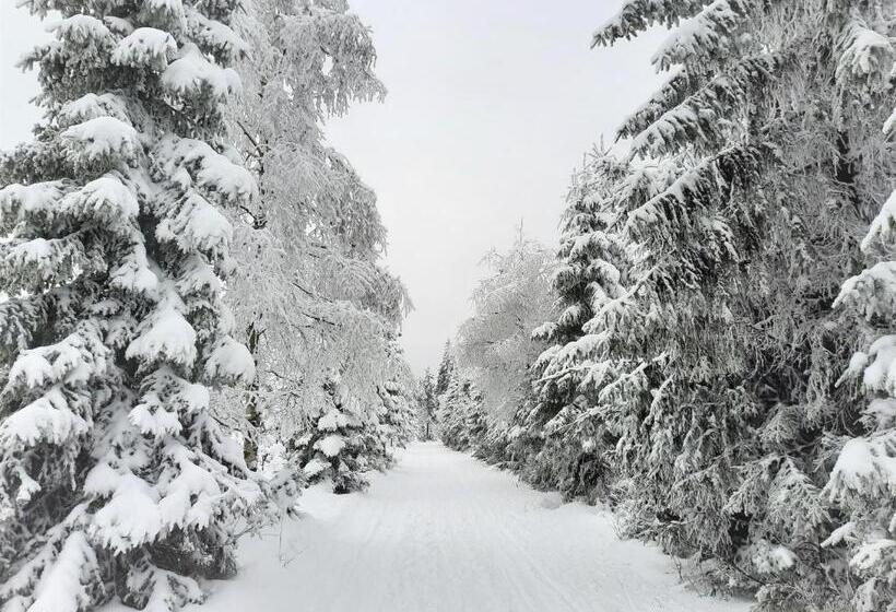 Velký Apartmán Cihlarka