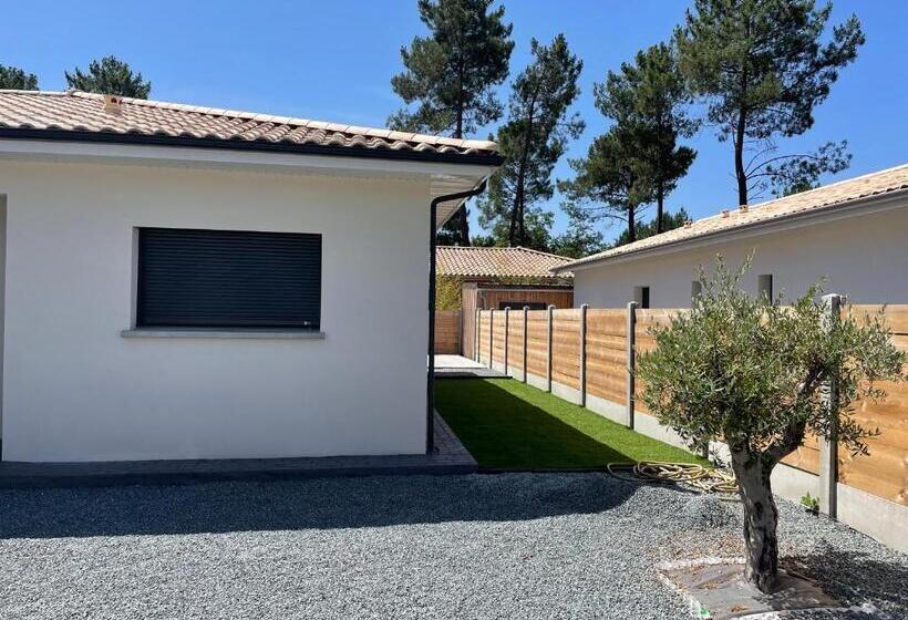 Maison Moderne Avec Piscine Chauffée