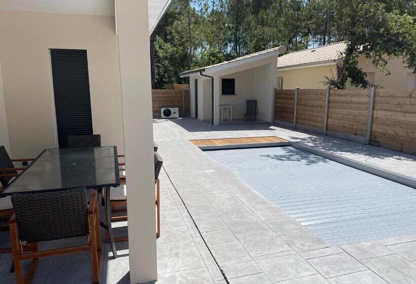 Maison Moderne Avec Piscine Chauffée