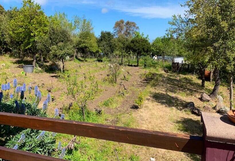 Seaside Apartment In Sassari Stunning View