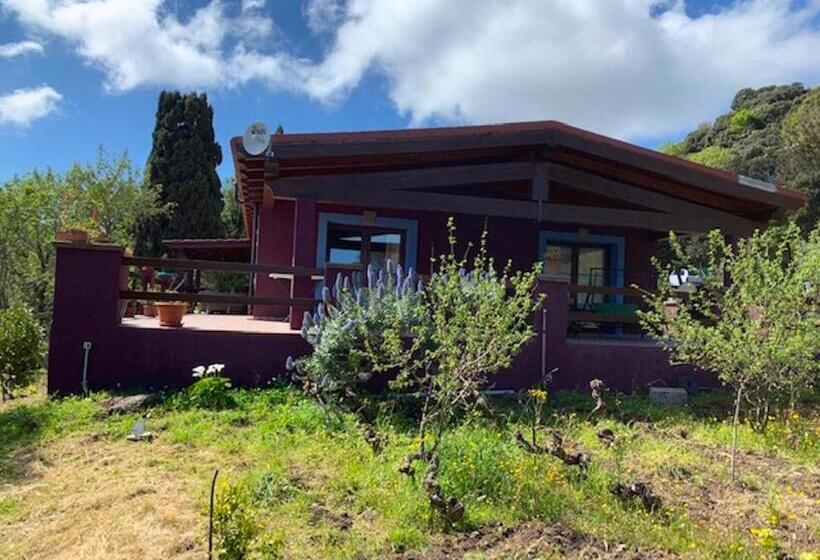 Seaside Apartment In Sassari Stunning View