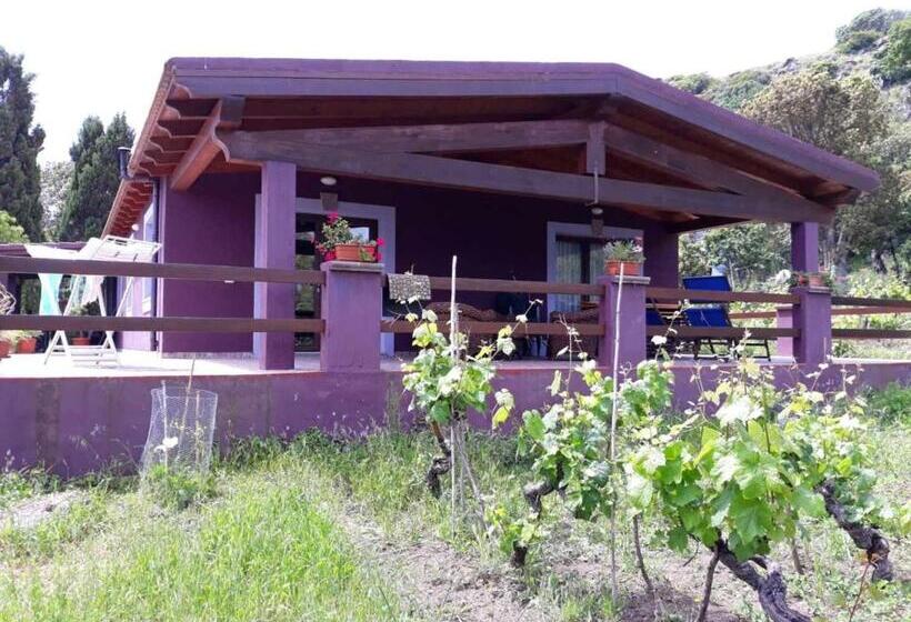 Seaside Apartment In Sassari Stunning View