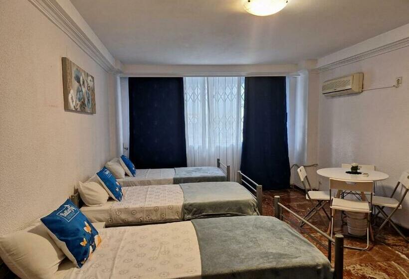 هاستل Pension El Dorado