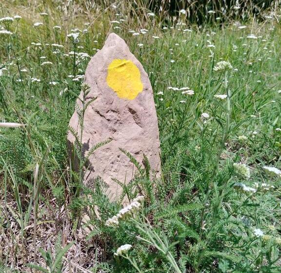 Apartma Salvia Guest House