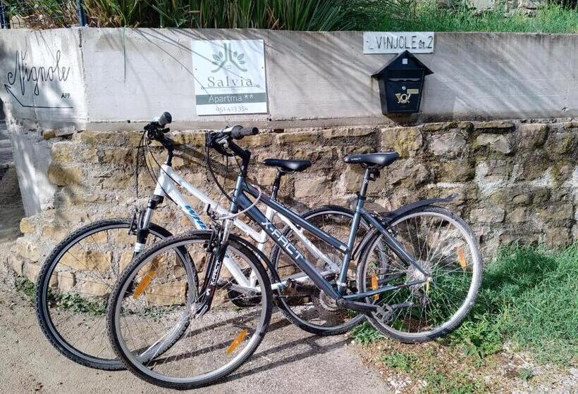 Apartma Salvia Guest House