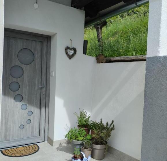 Apartma Salvia Guest House