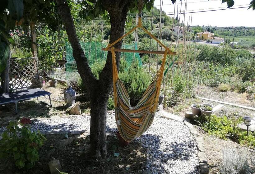 Apartma Salvia Guest House