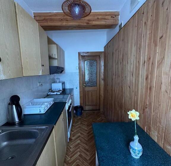 Bed and Breakfast роксолана