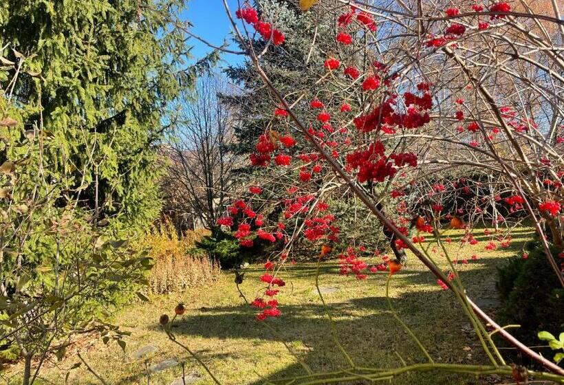 Bed and Breakfast роксолана