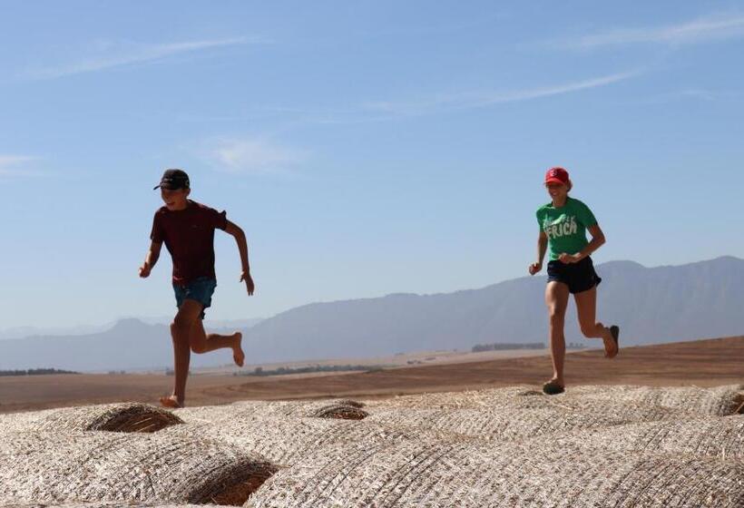 Blou Porselein Guestfarm