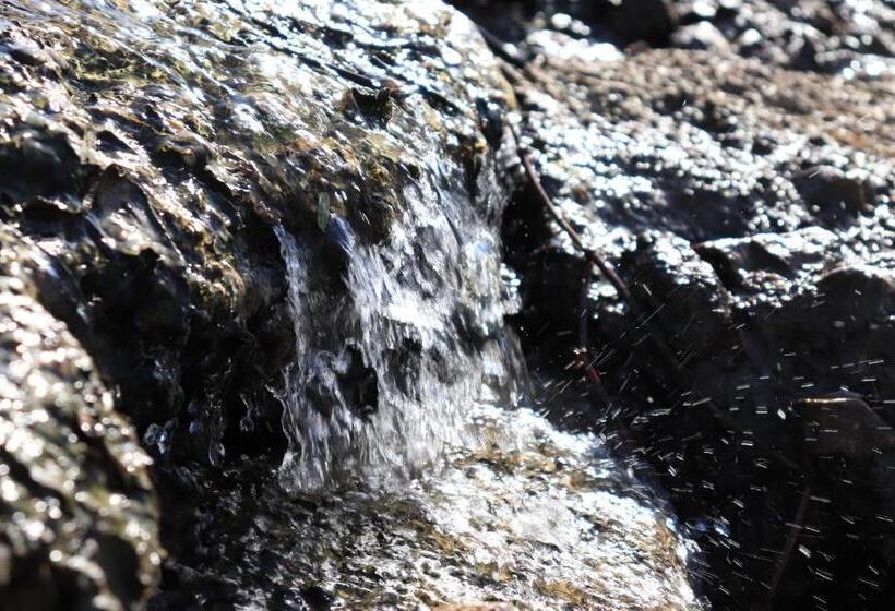 Blou Porselein Guestfarm