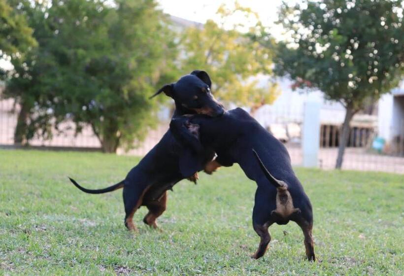 Blou Porselein Guestfarm