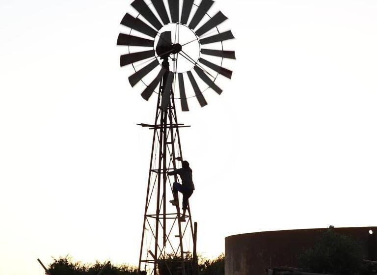 Blou Porselein Guestfarm